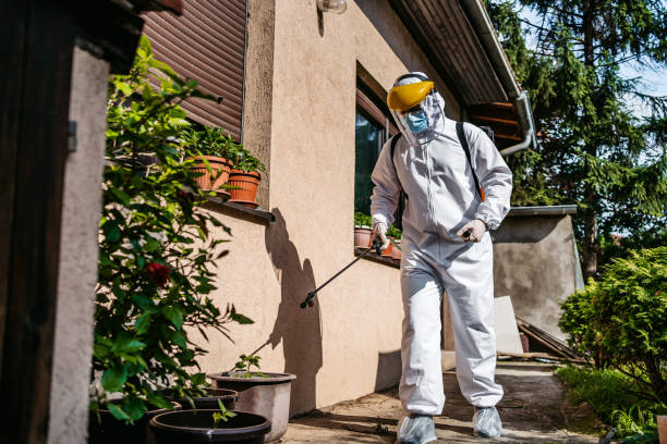 Pest Prevention Services in Allentown, NJ