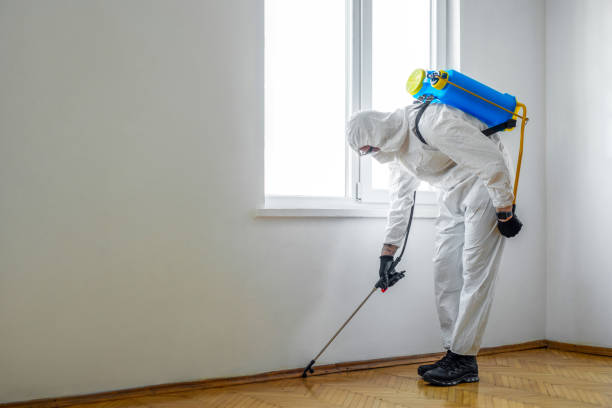 Best Flea Control Services  in Allentown, NJ