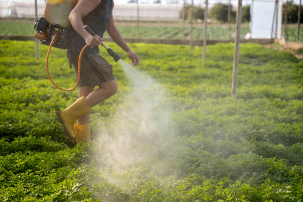 Professional Pest Control in Allentown, NJ