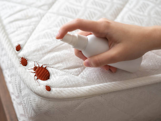 Best Emergency Pest Control  in Allentown, NJ